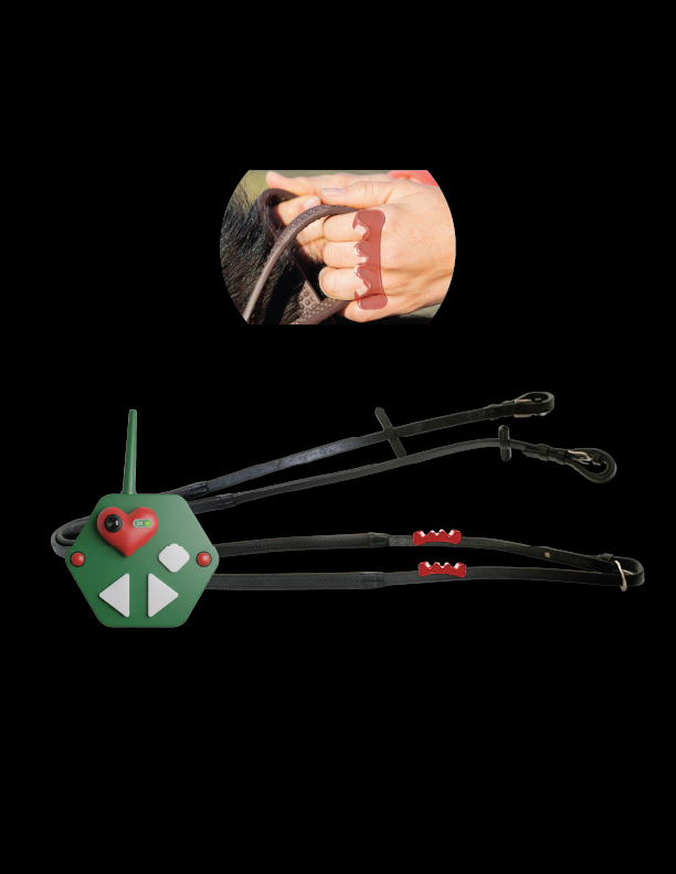 ReinGuide — digital reins for horse-riding therapy